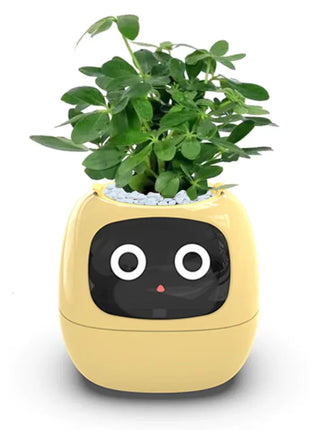 IVY Robot