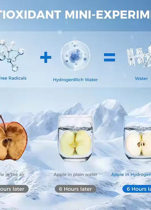 Hydrogen Water Bottle