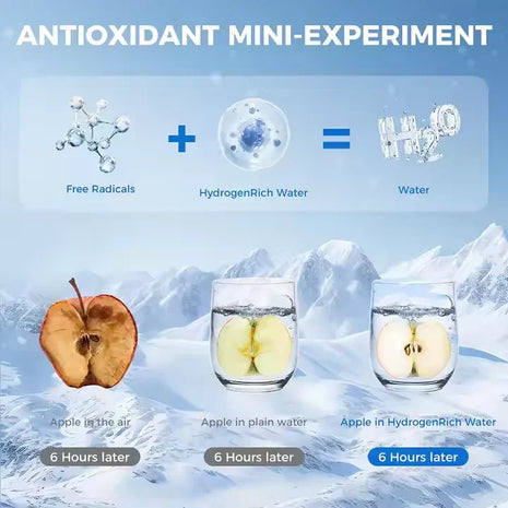 Hydrogen Water Bottle